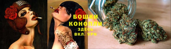 шишки Карпинск