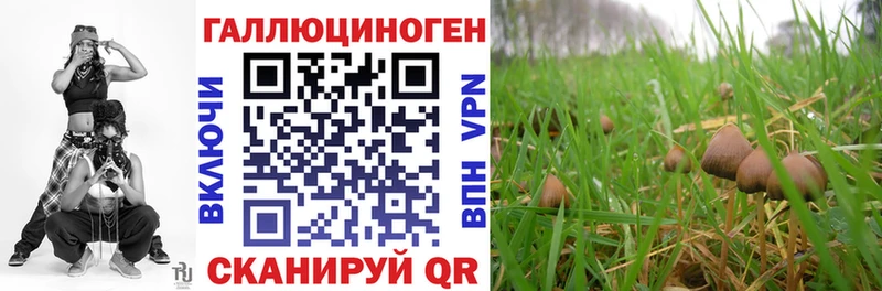 Псилоцибиновые грибы ЛСД  ОМГ ОМГ ONION  Кировград 